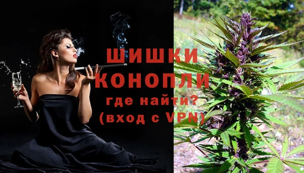 дмт Горно-Алтайск