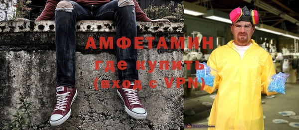 стаф Горняк