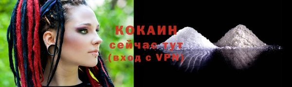 дмт Горно-Алтайск