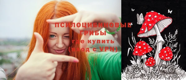 дмт Горно-Алтайск