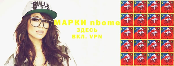 стаф Горняк